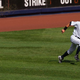 Image for article titled Yankees Running For Dear Life After Foul Ball Smashes Into Hornet’s Nest
